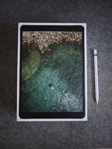 Apple ipad pro 256gb - ipad,