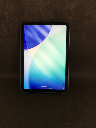 Apple ipad mini 2567 256 - mini, 6