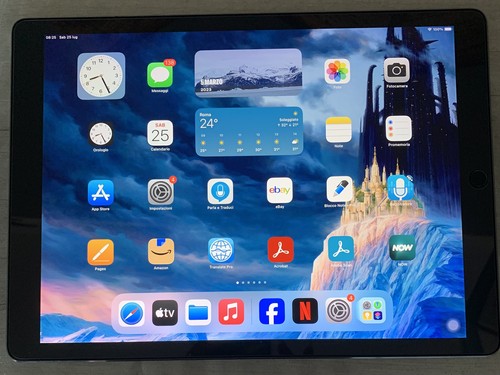 Pad pro accessori 256gb - i,