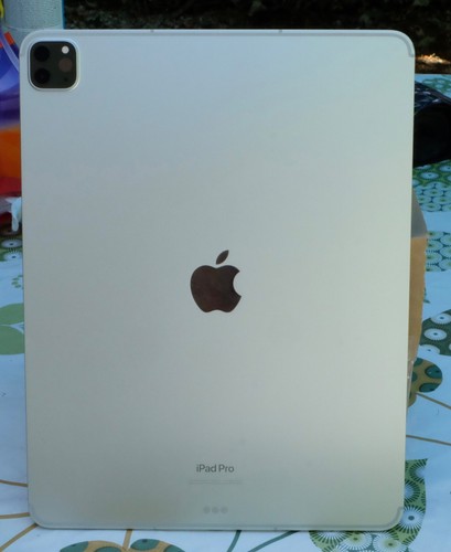 Apple ipad pro pouces - apple, 12,9